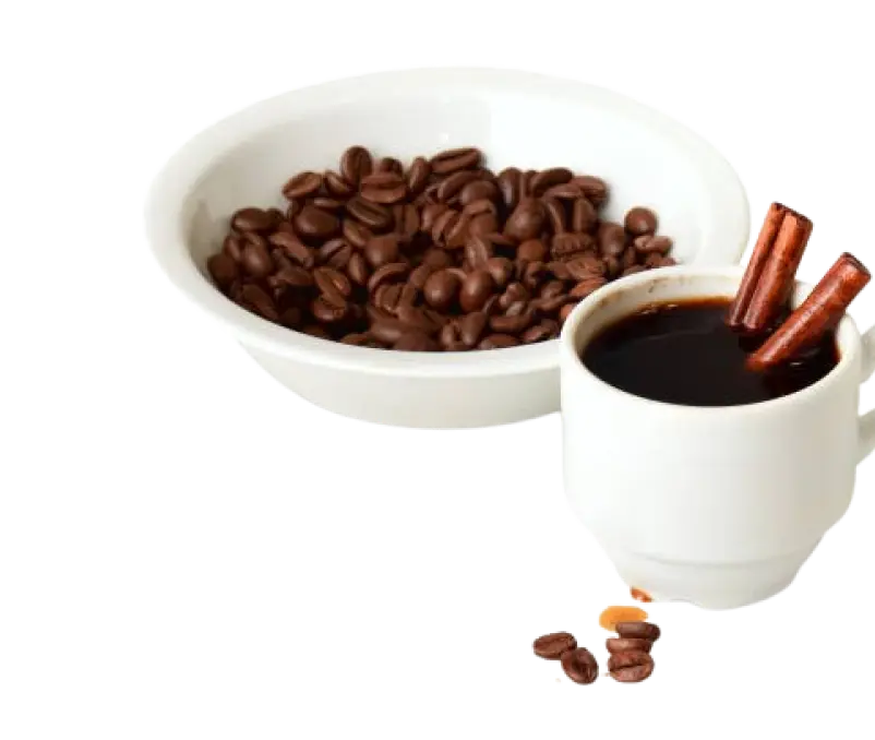 banner image